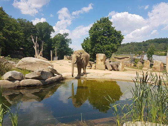 Jardim Zoológico de Praga